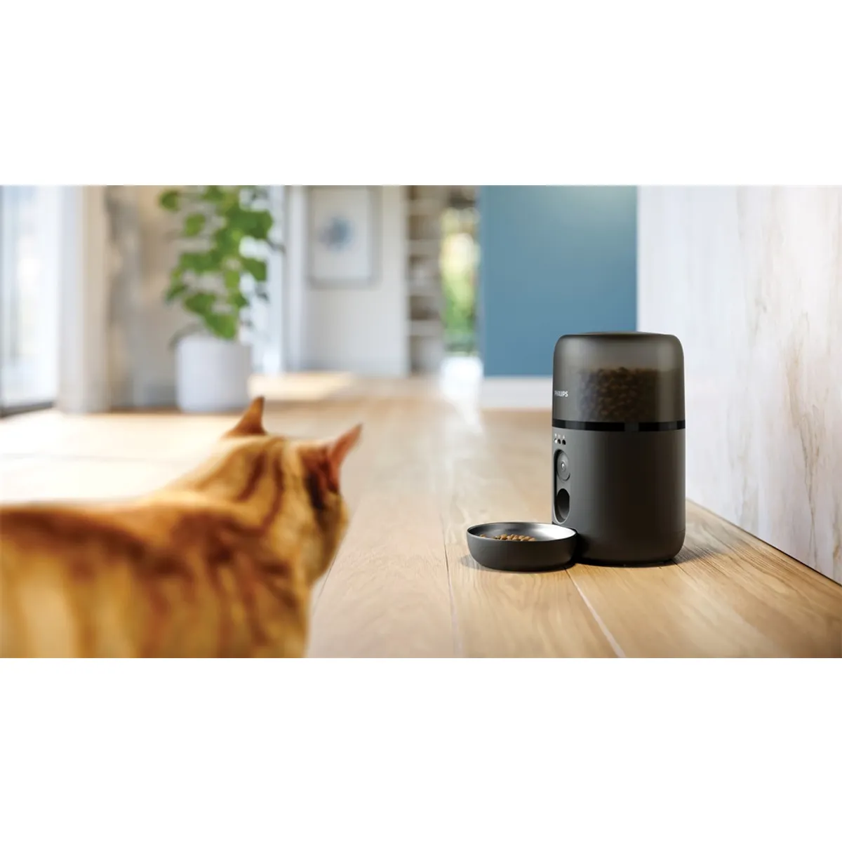 Philips PAW5320/02 automata kisállat etető 4,5 L Full HD kamera Wi-Fi 2,4 GHz adagolás 5 g tál mellékelve #4