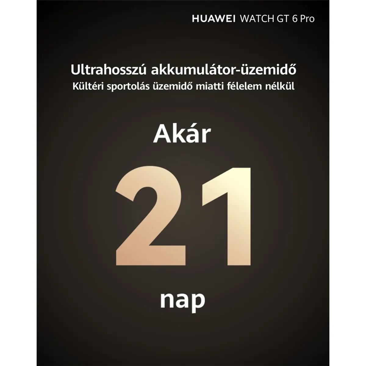 Huawei 55020FTT Watch GT6 Pro 46mm Titanium #4