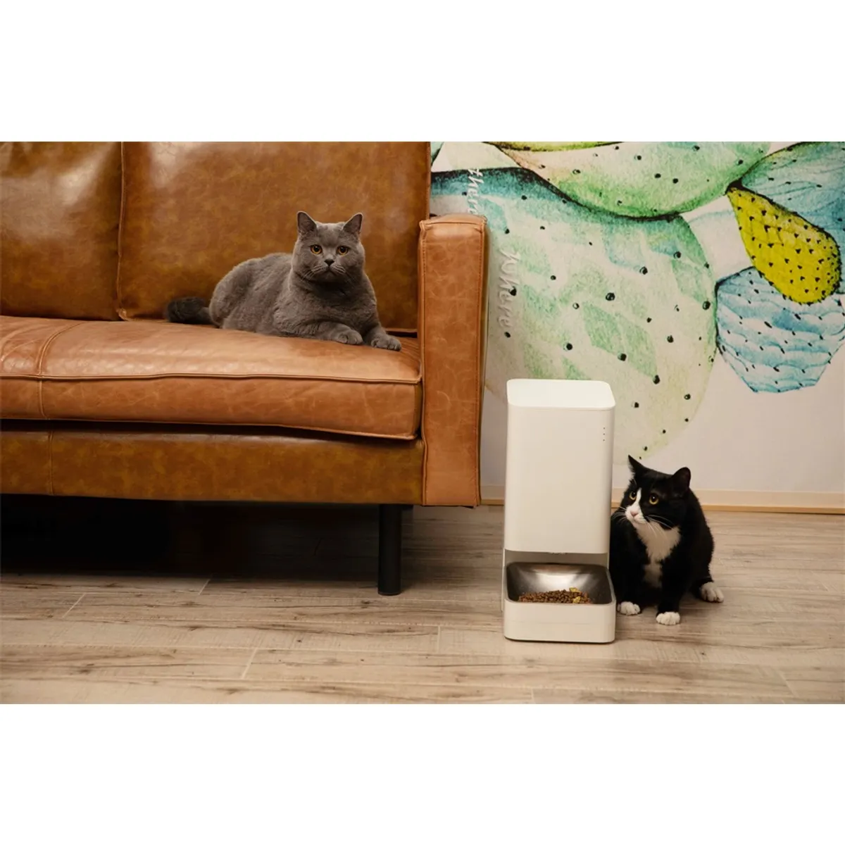 Xiaomi BHR6143EU Automata kisállat etető Fehér rozsdamentes acél 3,6 L 5,9 V 1 A #3